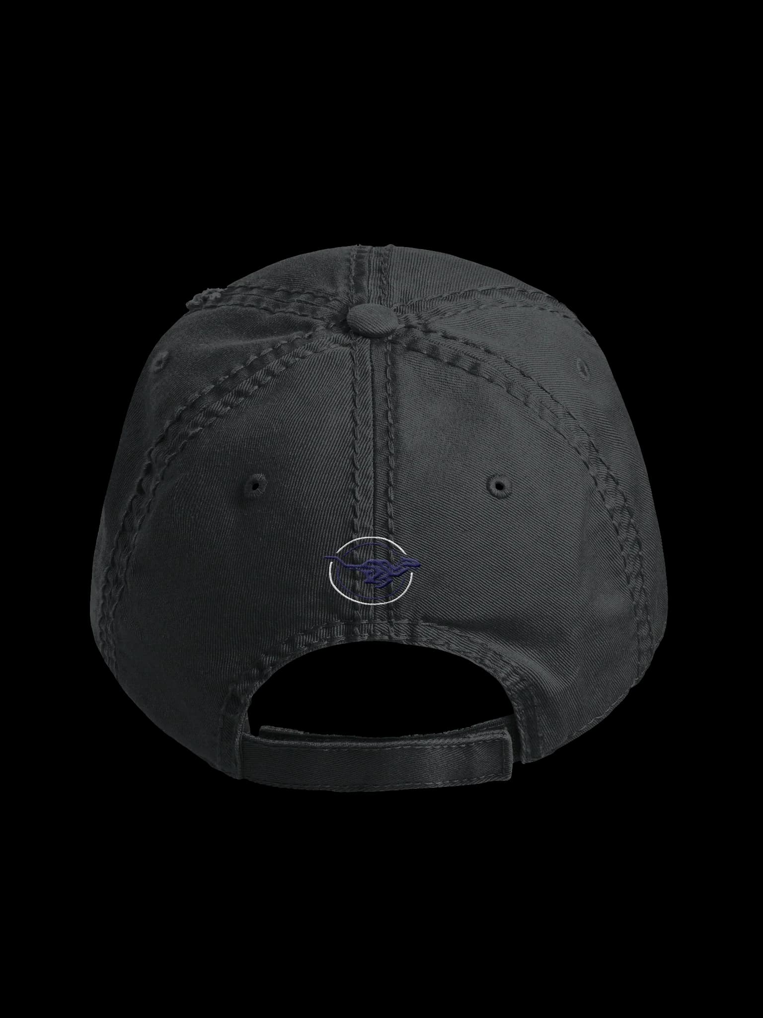 Otto Distressed Dad Hat, image 4 of 8